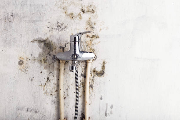 Best Mold Testing  in Burlington, NC
