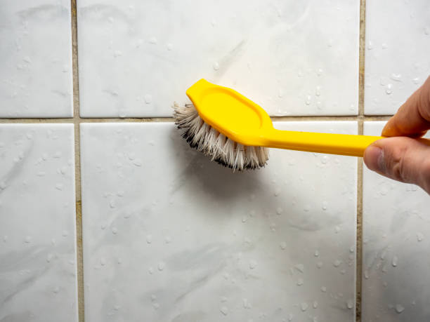 Best Black Mold Removal  in Burlington, NC