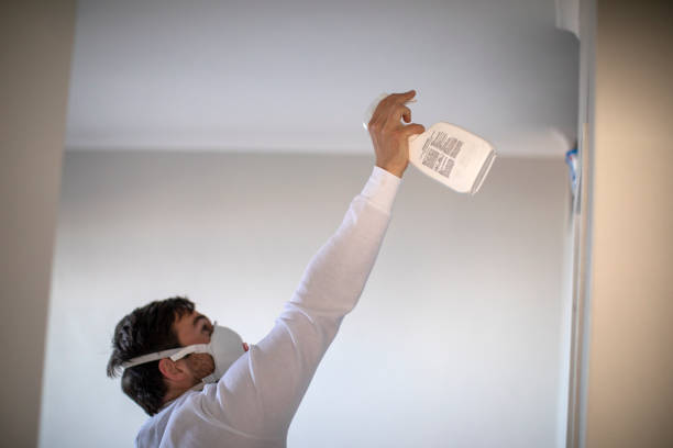 Best Local Mold Removal Service  in Burlington, NC