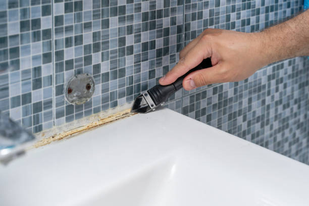 Best Mold Cleaning Services  in Burlington, NC