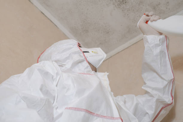 Best Mold Inspection  in Burlington, NC