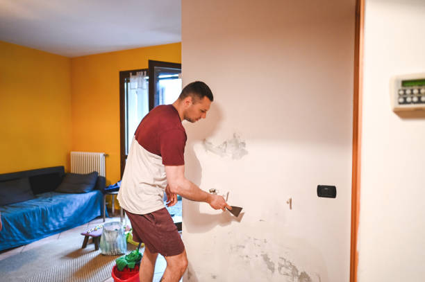 Best Mold Removal Specialists  in Burlington, NC
